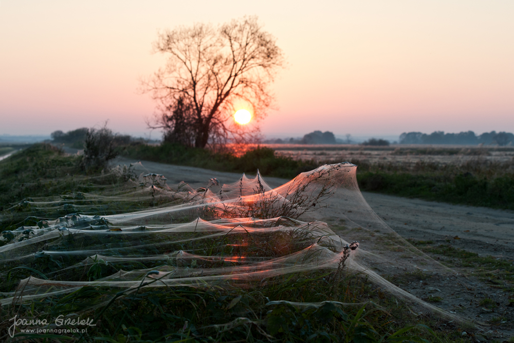 018_Biebrza - pazdziernik 2013.jpg